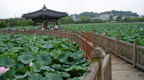 목교가 휘어진대로 걷다보면 저 끝에선 꼭 그리운 이를 만날 것 같다. 